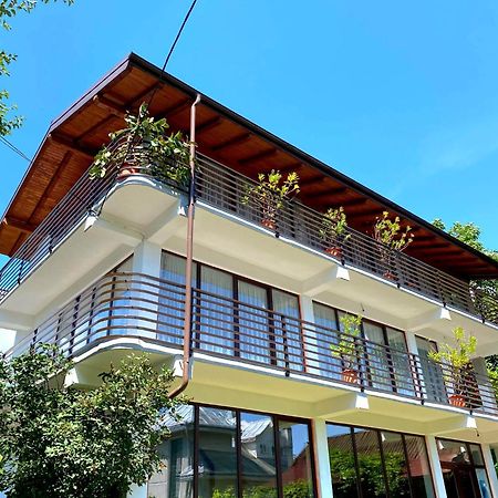 Borşa Casa Ionut酒店 外观 照片