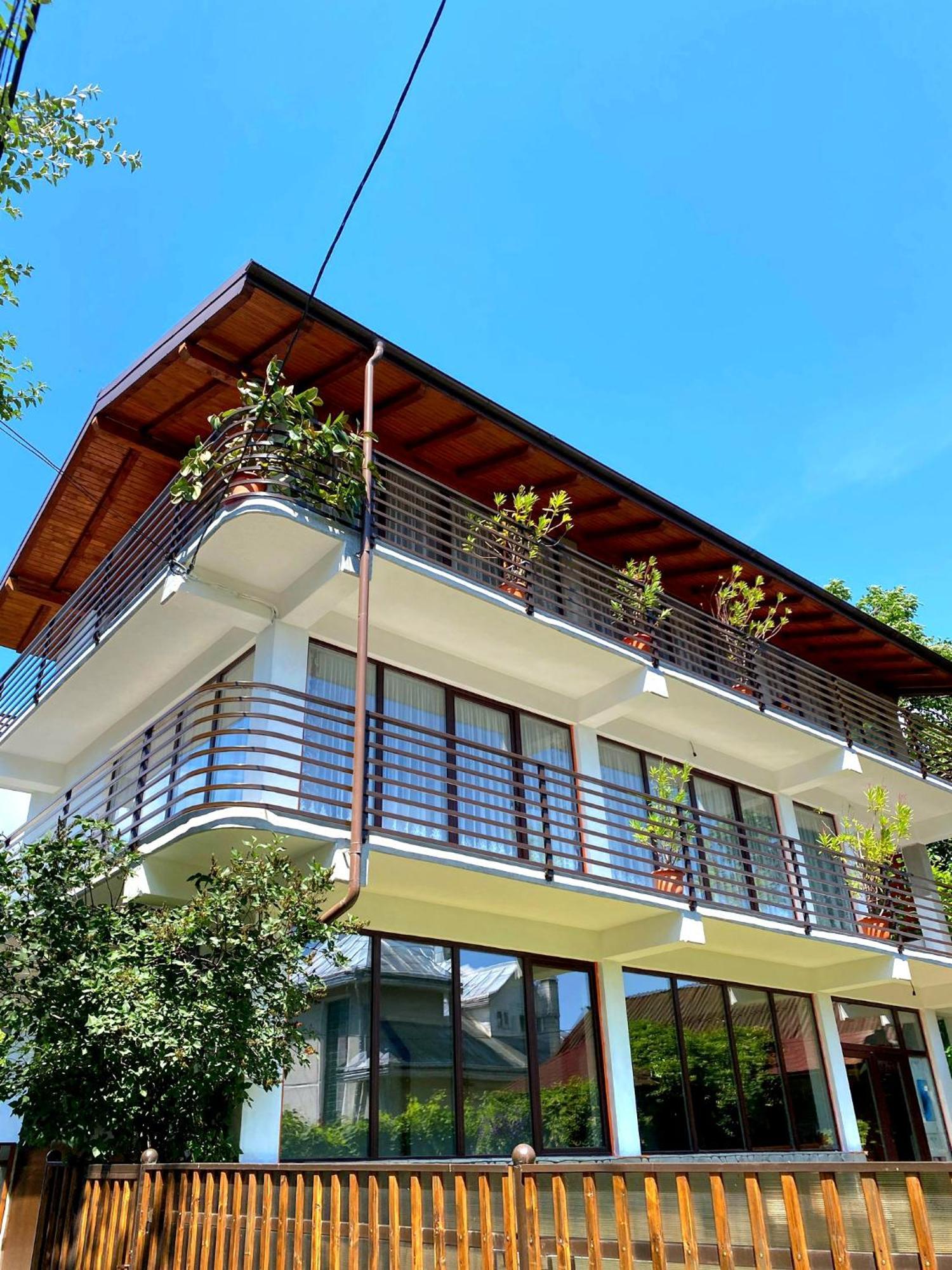 Borşa Casa Ionut酒店 外观 照片